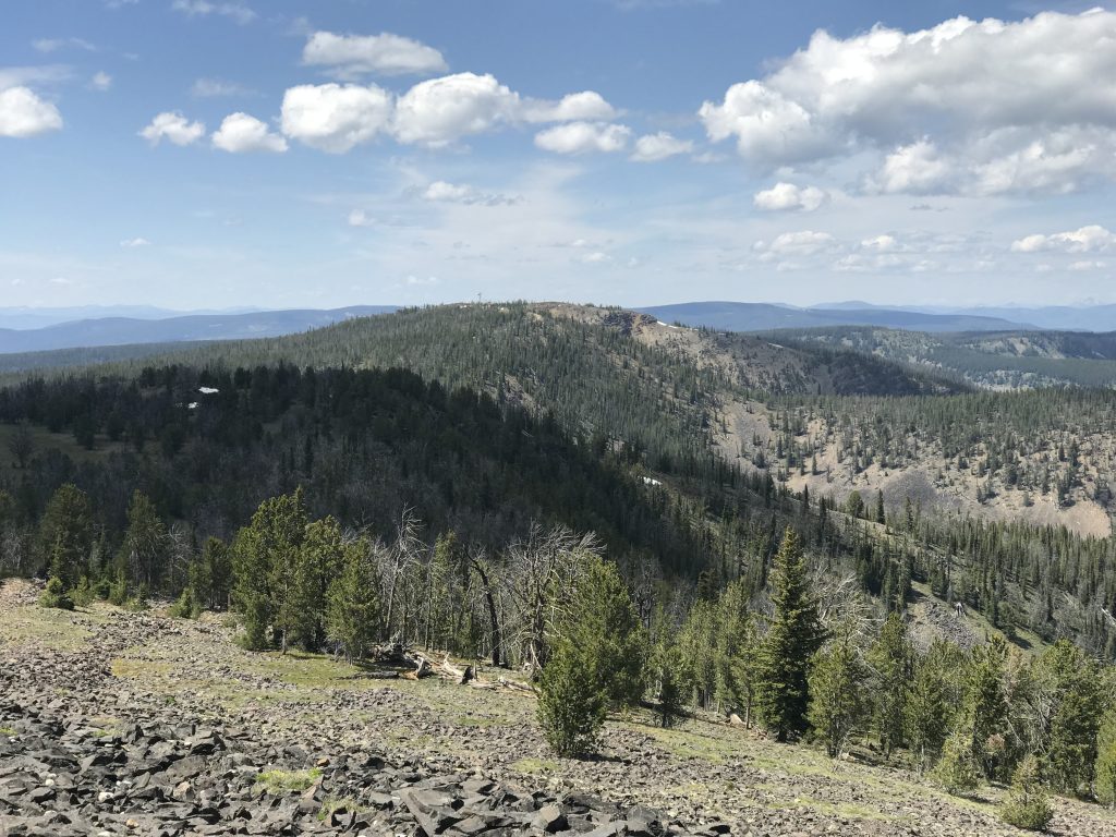 Gutzman Ridge viewed from Baldy.