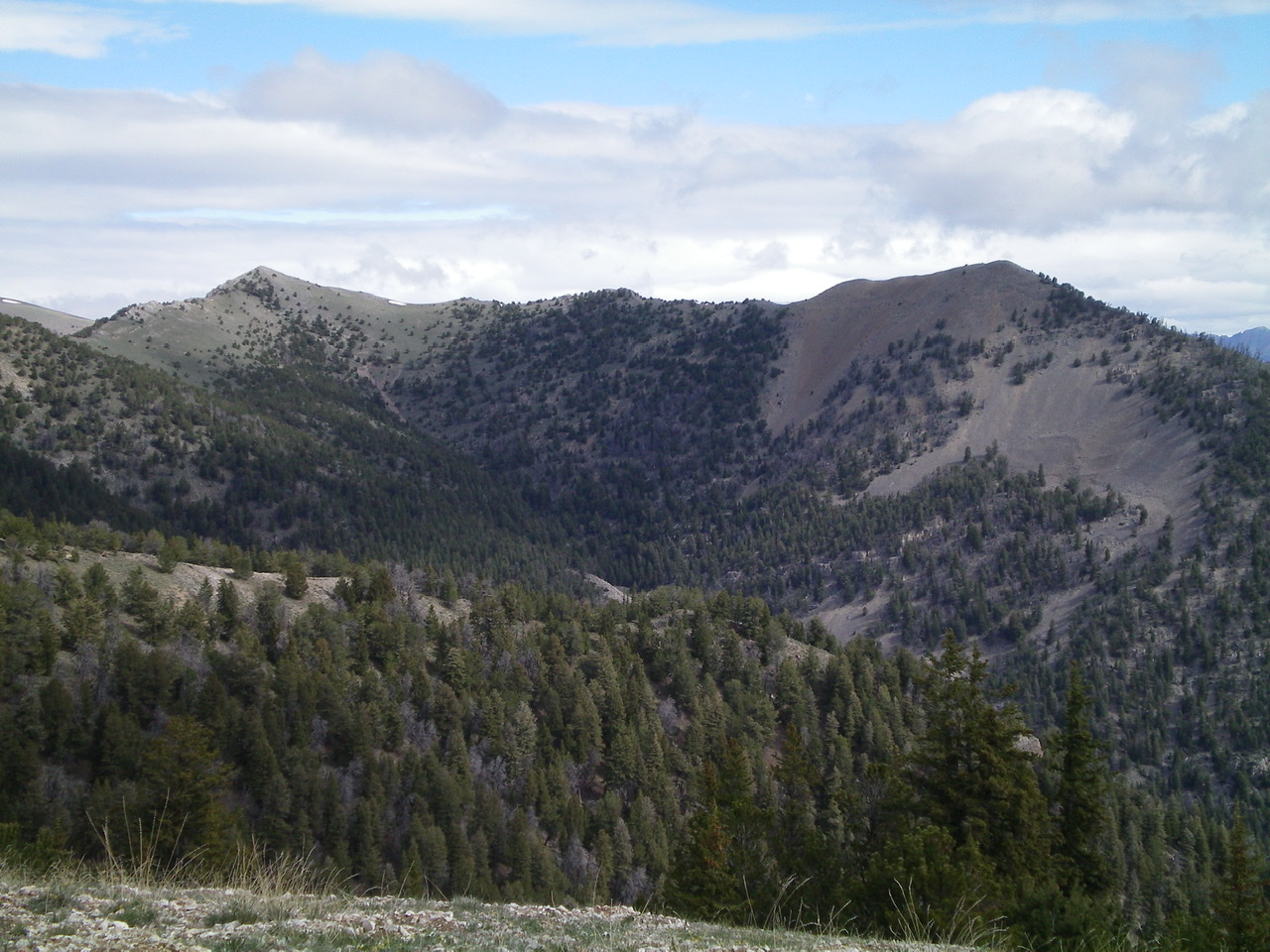 Gallagher Peak (right) and Peak 9877 (left) and the tedious connecting ridge between them. Livingston Douglas Photo 
