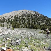 Peak 10202 viewed from the south. John Platt Photo