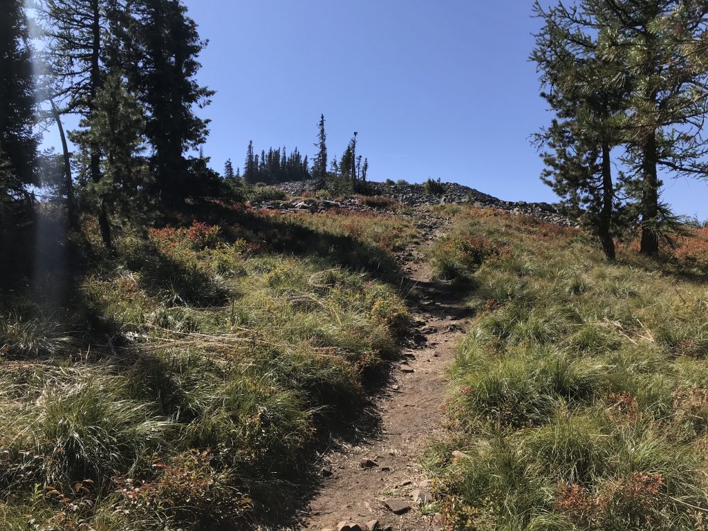 The trail breaks out of the trees just past the trail junction.