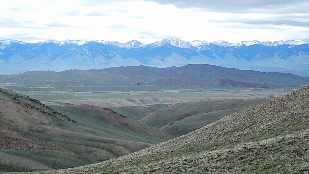 The middle and southern end of the Red Hills viewed from the west. The Lemhi Range is in the background.