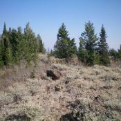 The summit high point of Sheep Mountain. Livingston Douglas Photo