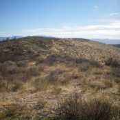 Looking east at the curved summit plateau of Peak 6150 from high on the east ridge. The high point is left of center in the thick sagebrush. Livingston Douglas Photo