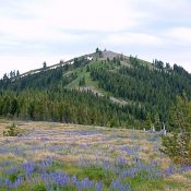 Peak 6180, the Benewah County High Point. Dan Robbins Photo