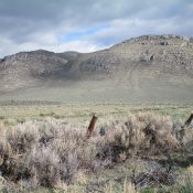 Swensen Butte as viewed from the 2-track jeep road. The summit is just right of center. The Southeast Gully/South Ridge Route climbs the gully leading up to the saddle and then follows the ridge to the top. Livingston Douglas Photo