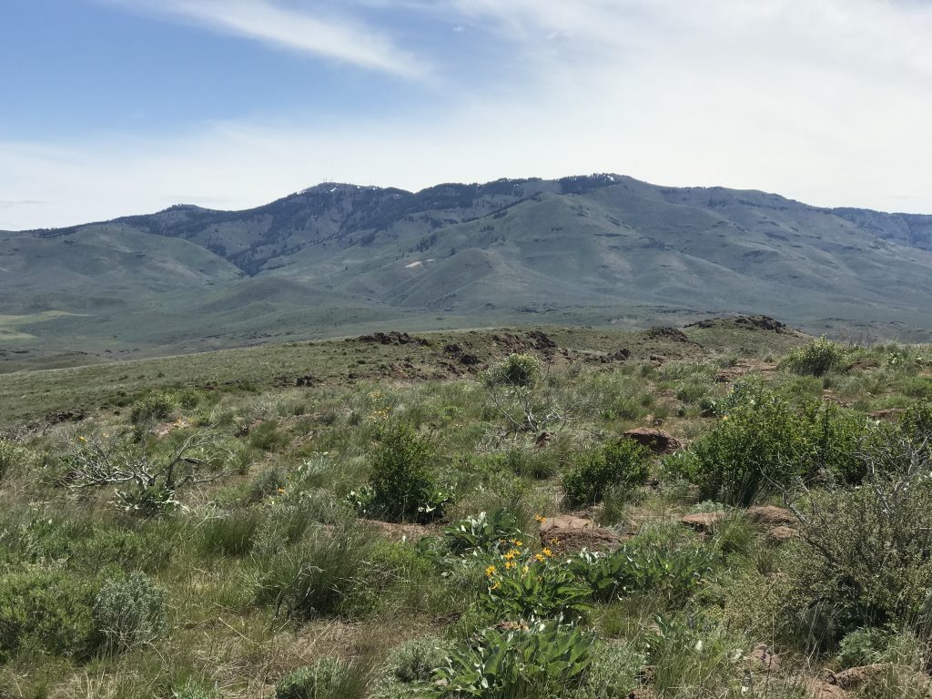 Mount Bennett viewed from the summit.