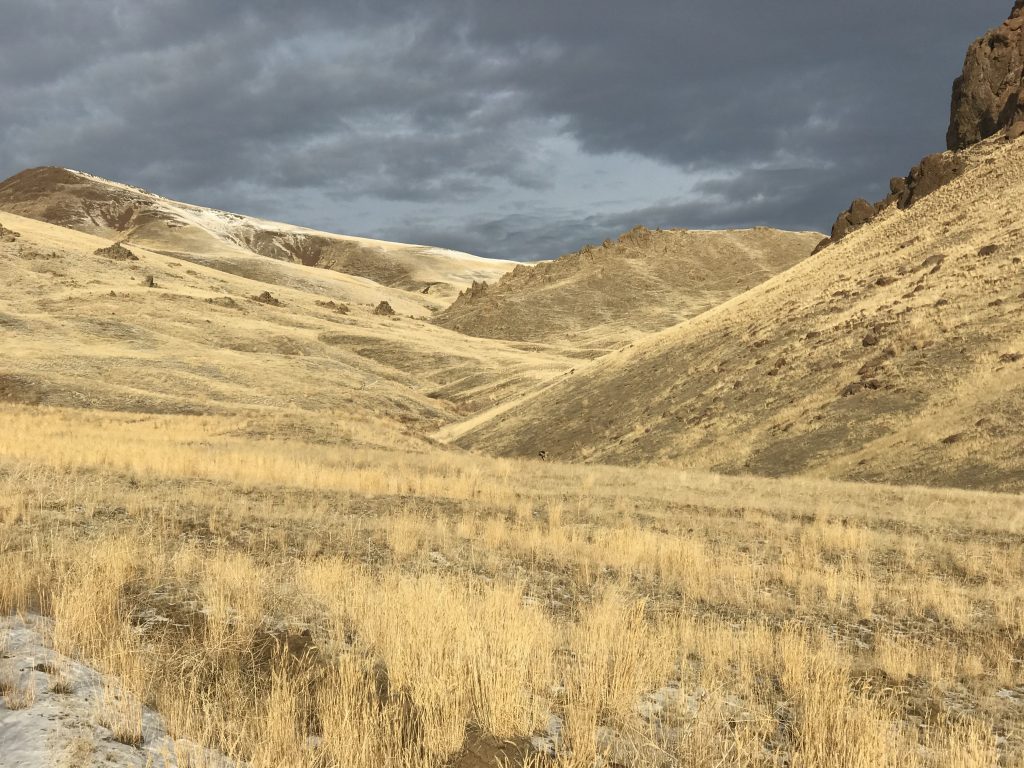 Looking north toward the saddle on the northwest ridge of Wilson Bluff.