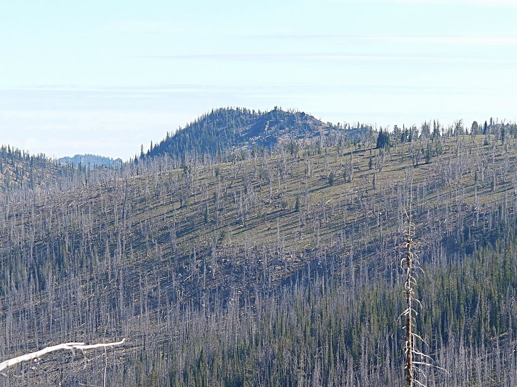 Lake Mountain viewed from Little Baldy.