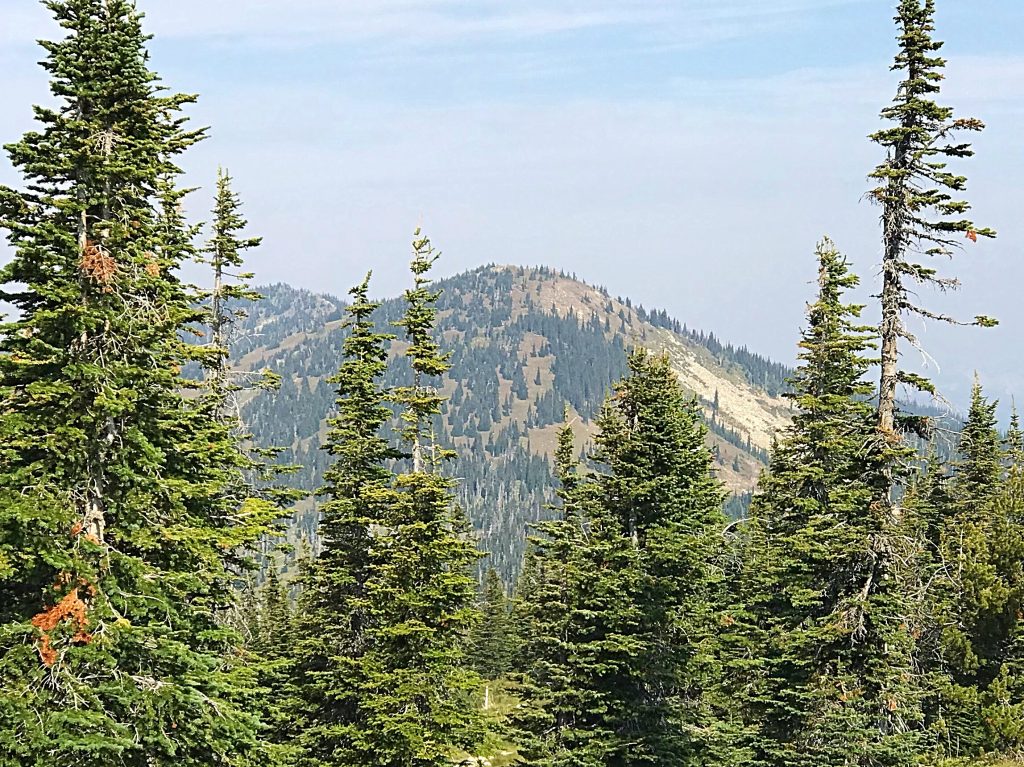 Blue Mountain from Schweitzer Basin Peak.