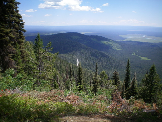 Thurmon Ridge (in shade in mid-ground) as viewed from the summit of Bishop Mountain. Livingston Douglas Photo 