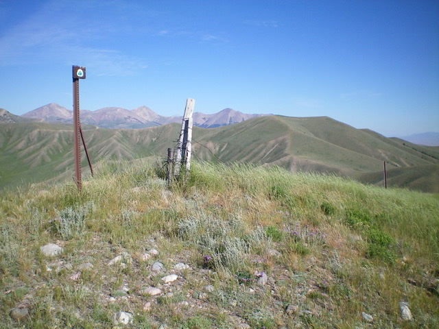 The summit of Peak 8661 is this ridge/fence corner on the Continental Divide. Livingston Douglas Photo 