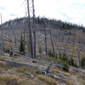 Toller Peak. John Platt Photo