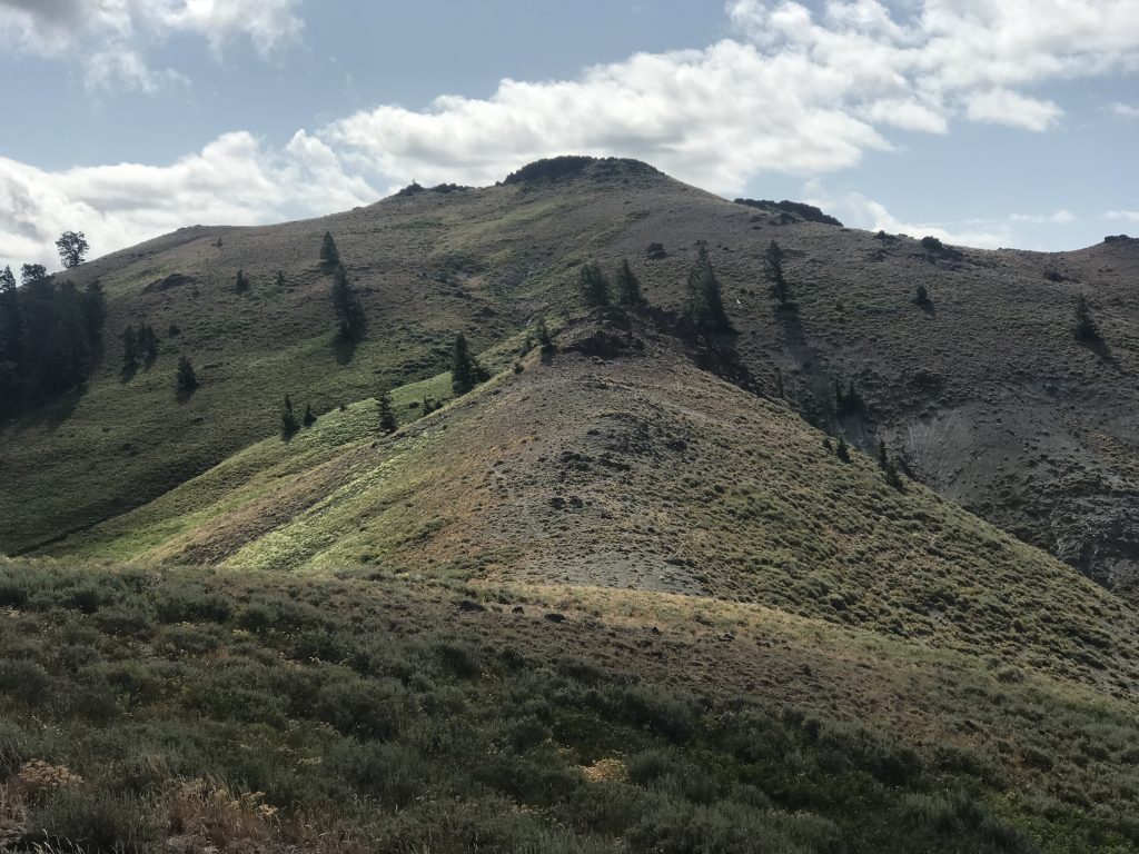 The summit viewed from the northwest ridge.