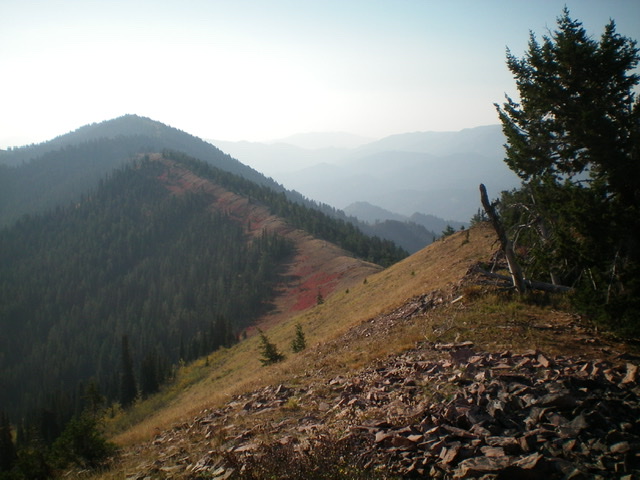 Looking southeast along Red Ridge from the summit of Red Peak. Red Benchmark is the most distance hump (left of center). Livingston Douglas Photo
