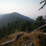 Twin Peaks West (bare hump in center) as viewed from Peak 7669 to its northwest. Livingston Douglas Photo