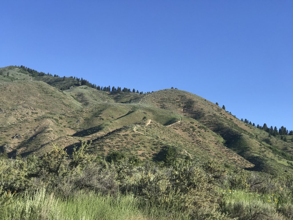 The trail climbing steeply up the slopes above Irish Creek.