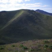 The Western Aspects of Peak 6331 as viewed from high on Peak 6390. The summit of Peak 6331 is the highest bump just left of center, at the top of the North Shoulder. Livingston Douglas Photo