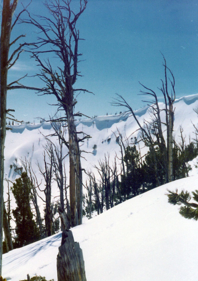 The Sawtooth range was heavily corniced this spring with what I call "whip cream" cornices. Bob Boyles photo