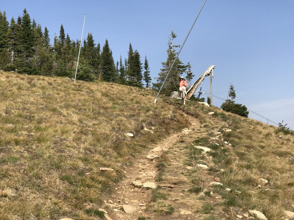 The trail to Schweitzer Basin Peak crosses forested and open slopes.