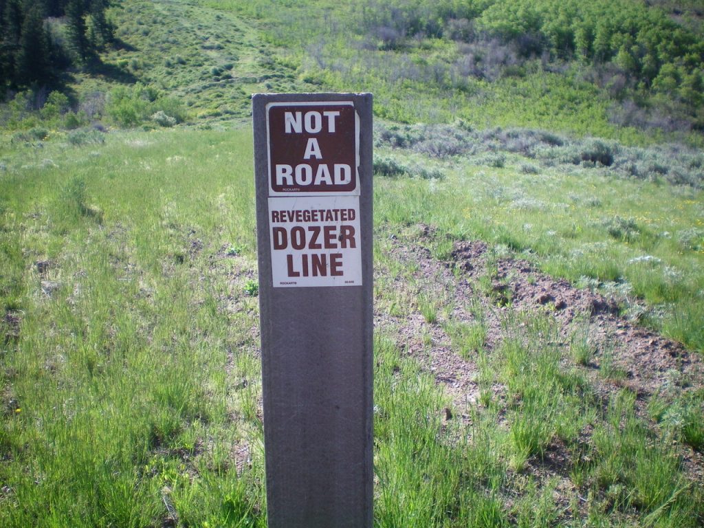 The BLM sign for the “Revegetated Dozer Line” which can be seen behind the sign. Livingston Douglas Photo 