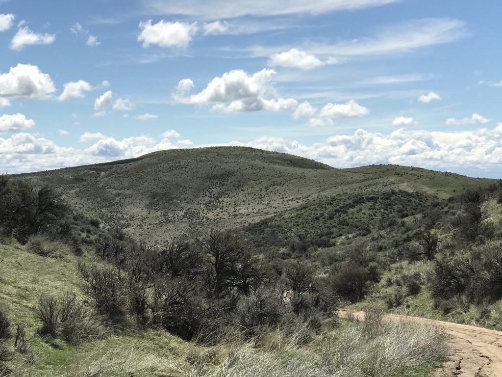 Highland Mountain viewed from the north.