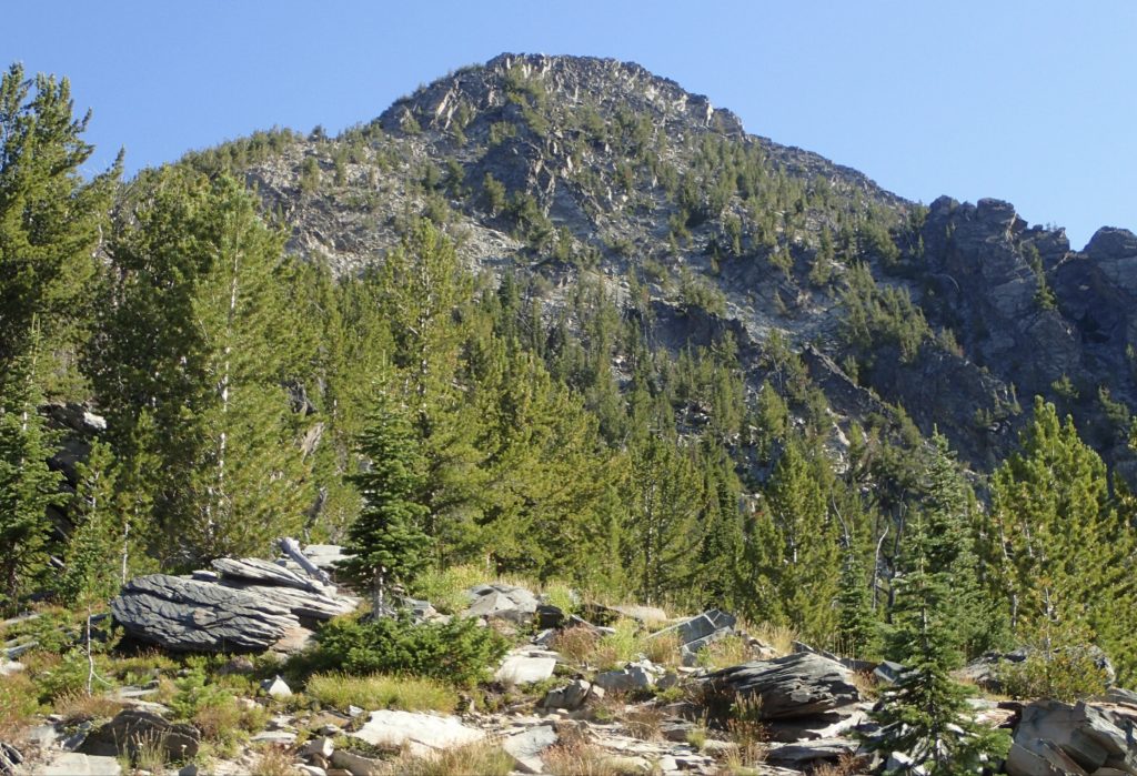 The top of the SW ridge. Judi Steciak Photo 