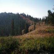 Red Benchmark and the final section of its northwest ridge. Livingston Douglas Photo