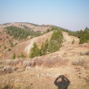 Tincup Mountain as viewed from the east. The summit is left of center on the edge of the forest line. Pardon my shadow. Livingston Douglas Photo