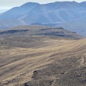 Peak 4820 viewed from the northwest.