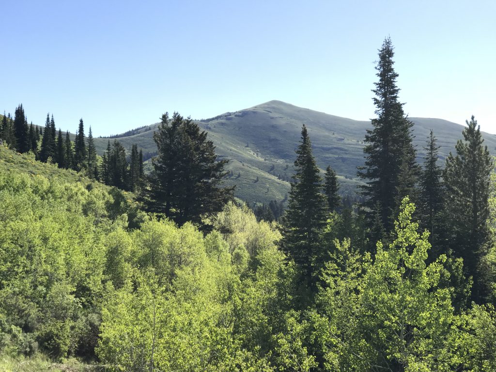 Deep Creek Peak Viewed from the Big Canyon/Knox Canyon pass.