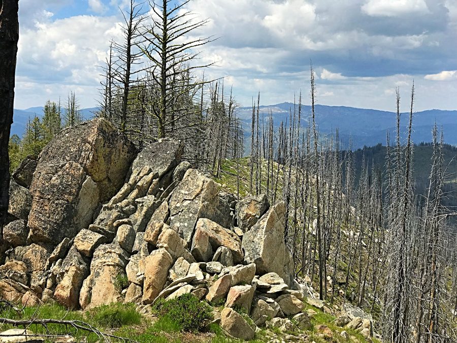 Looking across the summit toward the high point from the east.