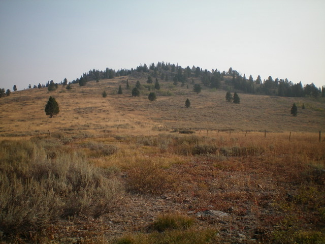 Peak 8377 as viewed from the base of the southwest ridge. Livingston Douglas Photo 
