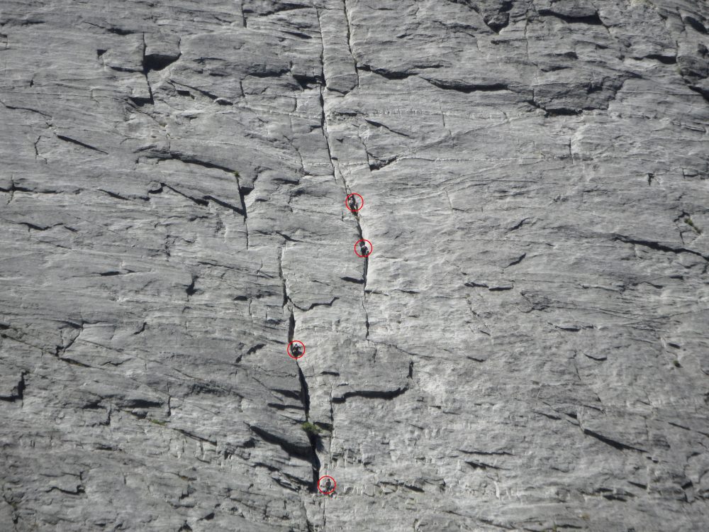 1st and 2nd cracks. Note: belaying in the cracks is uncomfortable. Instead, belay the second crack from the broad area just below. It looks vertical here, but it’s ‘sittable’, but perhaps with a bit of support from your anchor. John Platt Photo 