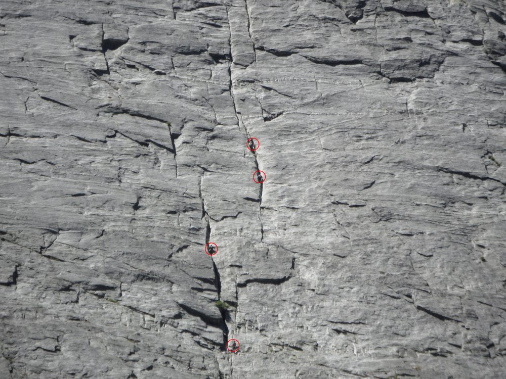1st and 2nd cracks. Note: belaying in the cracks is uncomfortable. Instead, belay the second crack from the broad area just below. It looks vertical here, but it’s ‘sittable’, but perhaps with a bit of support from your anchor. John Platt Photo