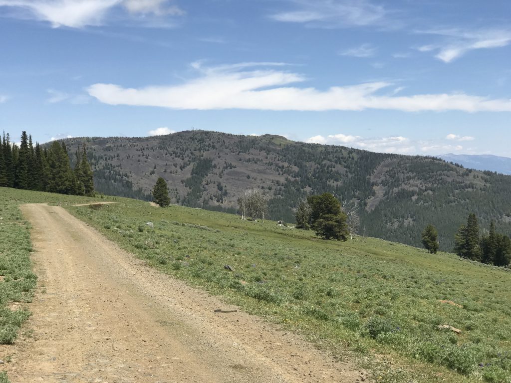 Baldy viewed from the south along the Salmon Mountain Ridge Road near Phelan Mountain