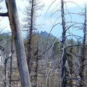 Eagle Rock through the trees viewed from the west. John Platt Photo