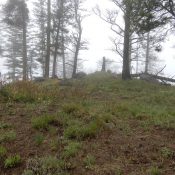 The nondescript summit of Berg Mountain. John Platt Photo