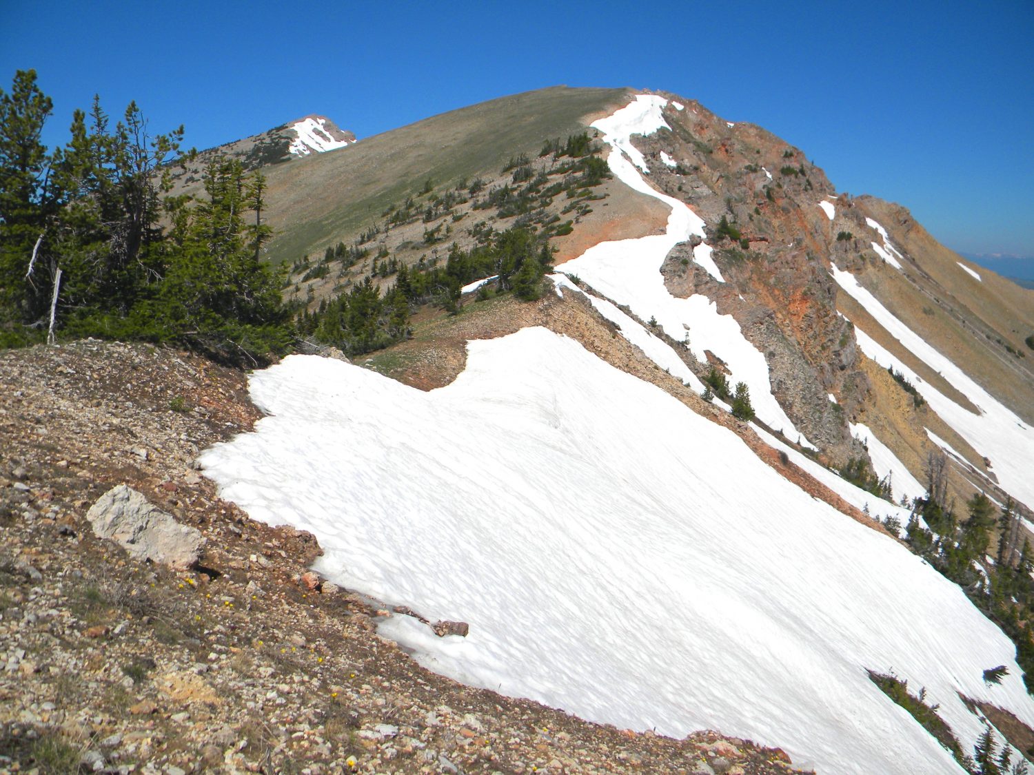 This photo was taken near where the trail left the ridge for the basin to the north. Crosscounty hiking from here is relatively easy. The high point visible at left center. The larger lump dominating the photo is unnamed ridge point, 9,800'. June 2009