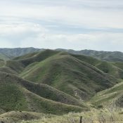 Peak 5024 viewed from the east.