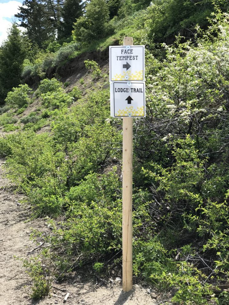 The Tempest Trail junction was signed on 2018. 