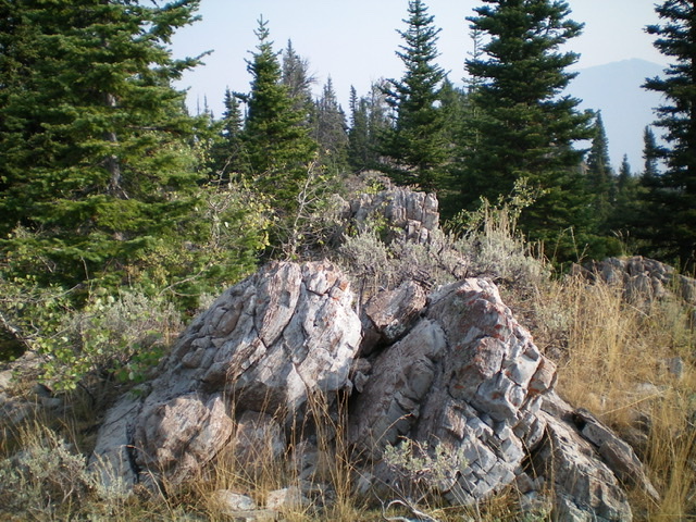 The boulders on the high point of Peak 8377, just above the ID/MT boundary post. Livingston Douglas Photo 