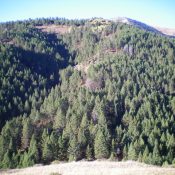 Peak 7860 and its forested northeast ridge as viewed from the northeast. The summit is in dead center. Livingston Douglas Photo