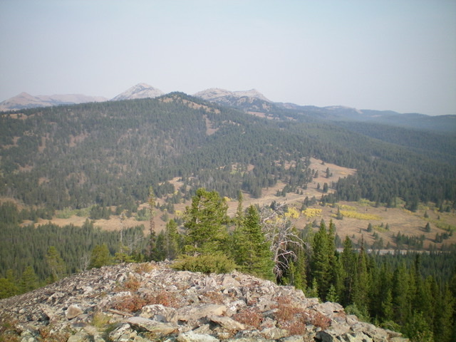 Peak 8340 (forested in mid-ground) as viewed from across Targhee Pass to the southeast. Livingston Douglas Photo 