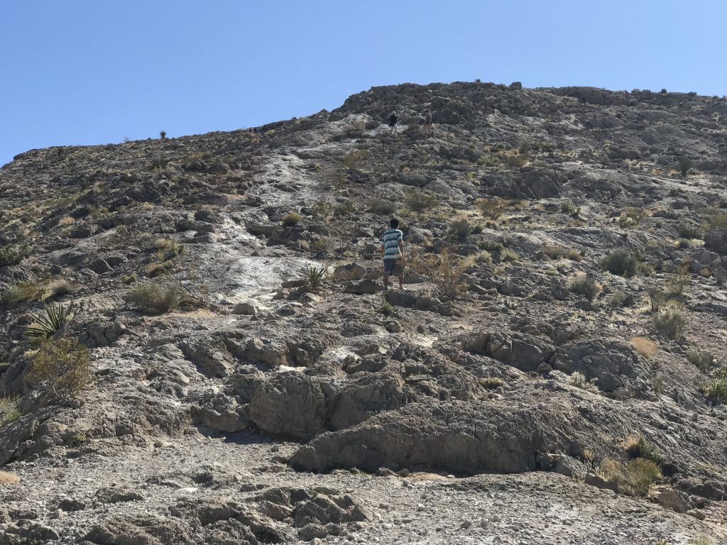 Lone Mountain is surrounded by Las Vegas. 