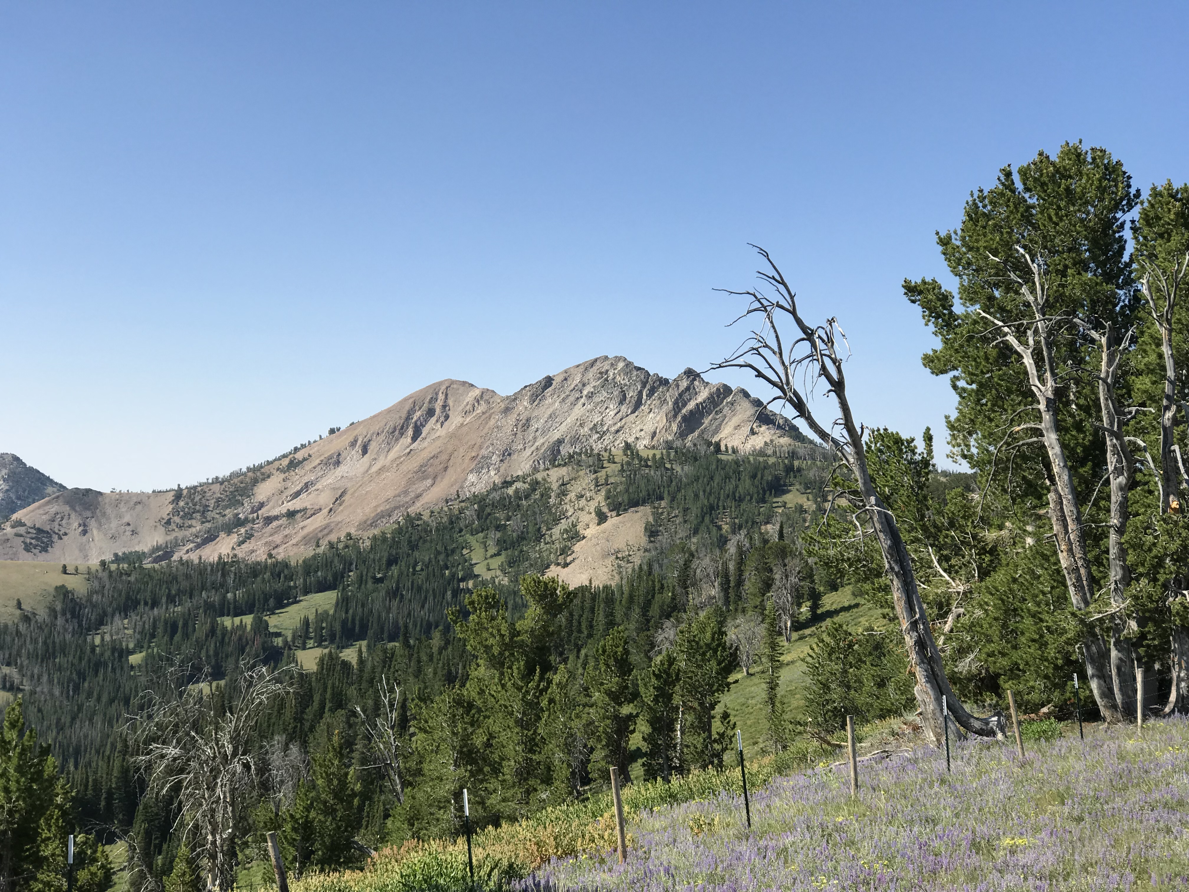 North Smoky Dome and its east face viewed from the north. The highest point is on the left.