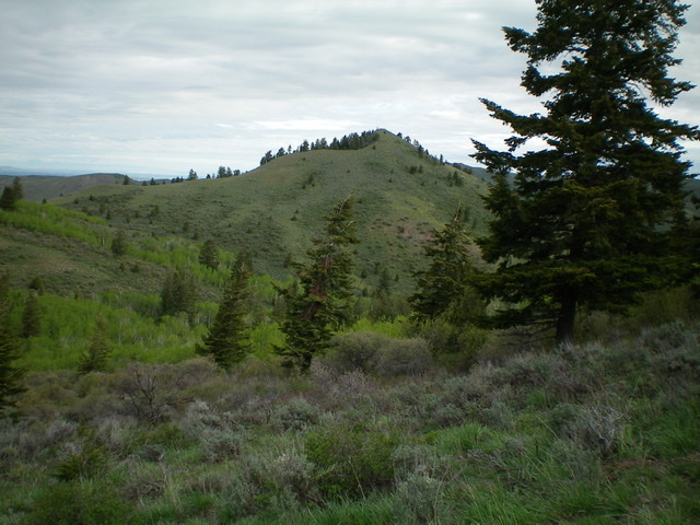 Peak 7042 as viewed from the northwest ridge of Peak 7283 to its south. Livingston Douglas Photo 