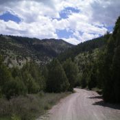 Peak 7119 (background center) and its northwest ridge as viewed from Blacktail Canyon Road far below. Livingston Douglas Photo