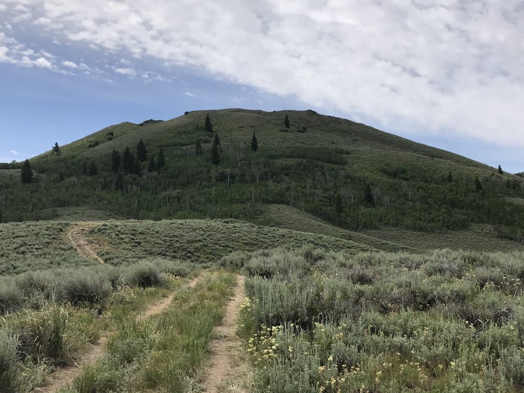 Peak 6394 viewed from the north.