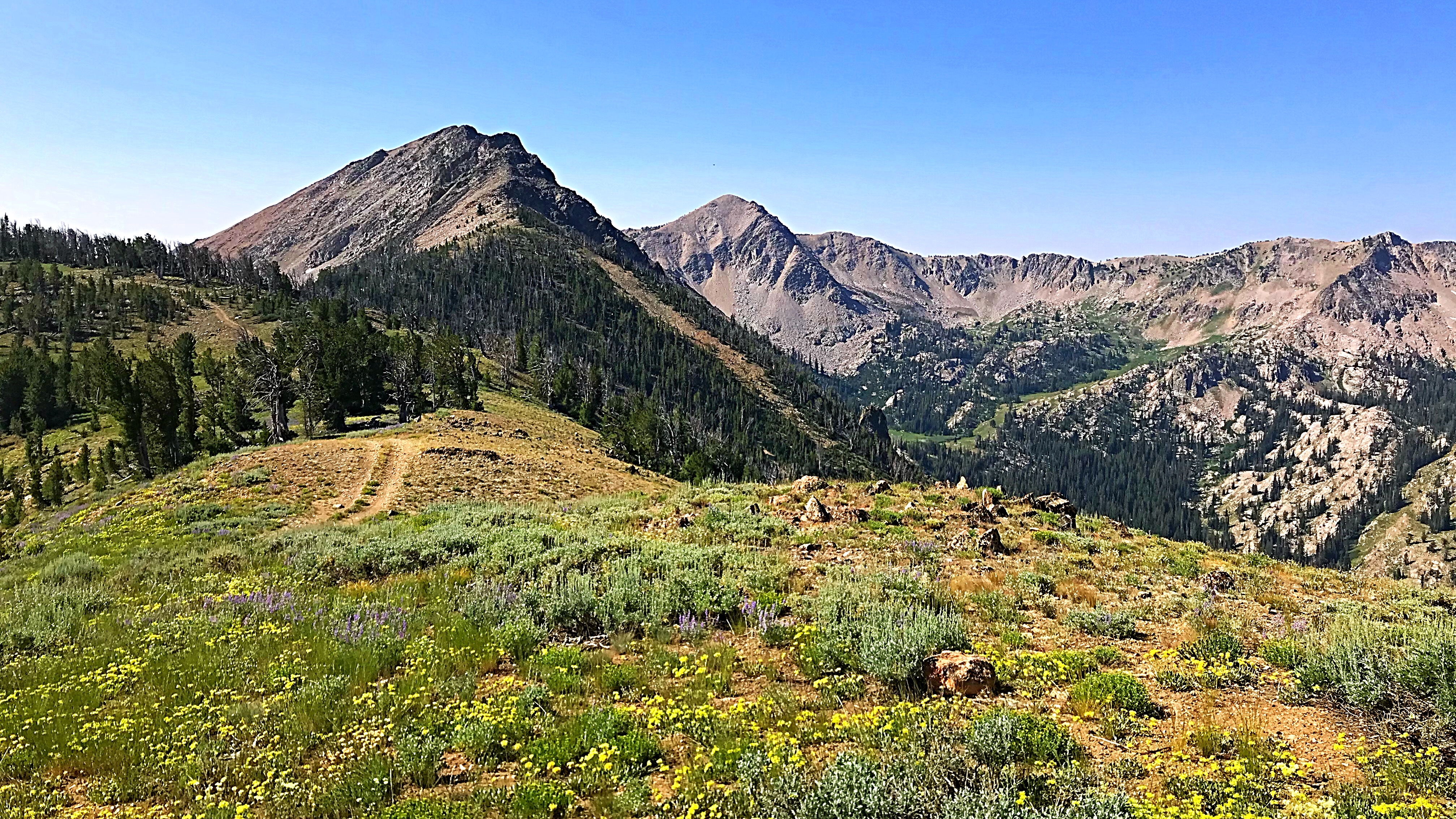 North Smoky (left) and Smoky Dome viewed from the north.