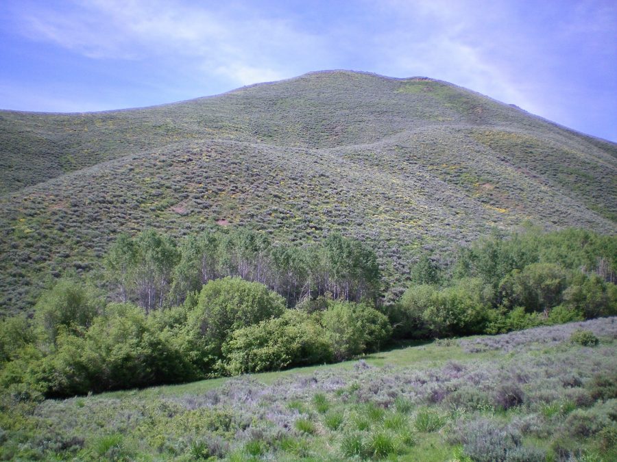 View of the North Side of Rattler Butte from Townsend Gulch Road. The North Shoulder heads upward and diagonally right before it curls leftward to the sagebrush-covered summit. The skyline is the Northeast Ridge. Livingston Douglas Photo